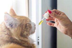 Unlocking Emotional Balance: The Power of Full Spectrum Hemp Oil