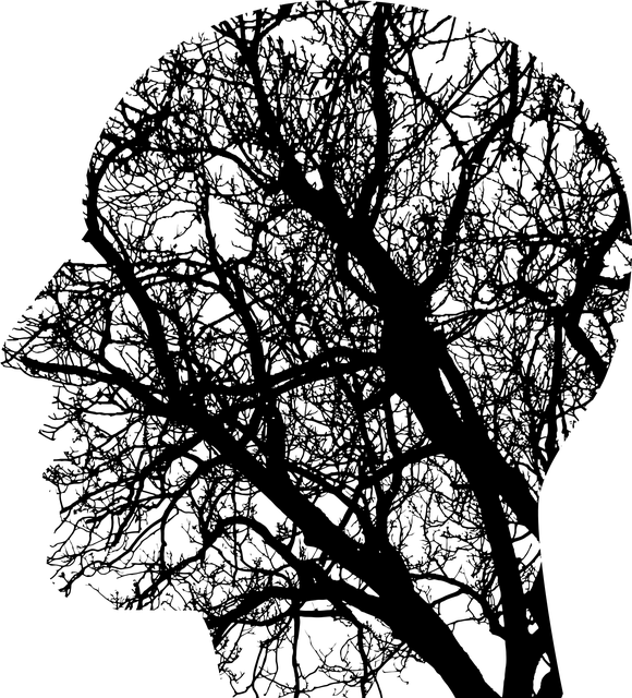Geo Schema Integration