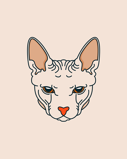 Graphic Design