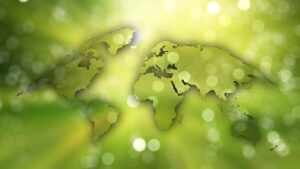 Eco-Friendly Roofing: Green Systems for Energy-Efficient Businesses Near You