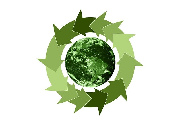 green roofing systems contractor