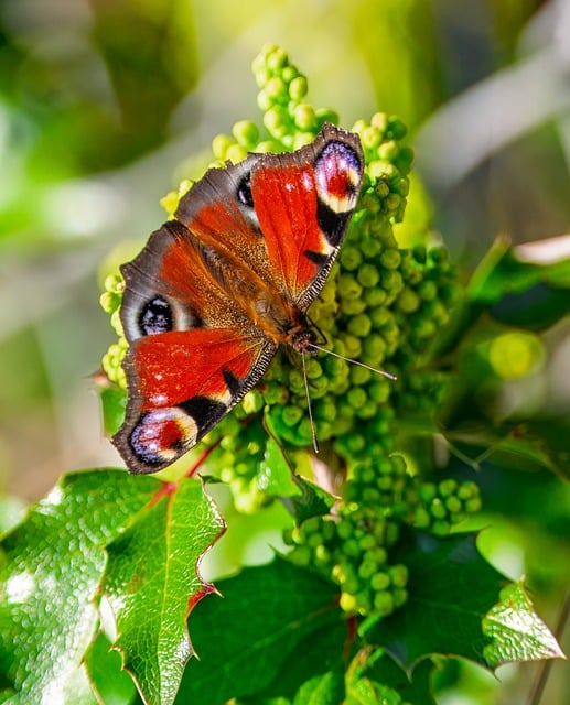 green roofing systems contractor