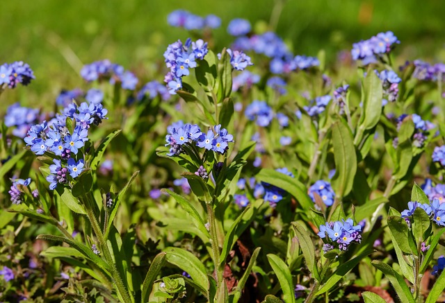 green roofing systems near me
