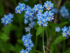 Green Roofs: Sustainable Solutions for Businesses Near You