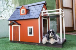 Heated Dog Houses: Keep Your Furry Friends Warm and Safe