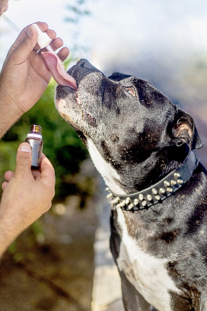 Heavy Metals Testing for CBD