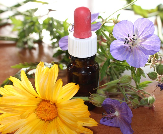 holistic wellness Austin