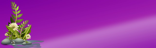 Homepage Schema
