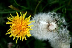 Master Internal Linking: Strategize, Fix, and Improve SEO with Link Equity Distribution