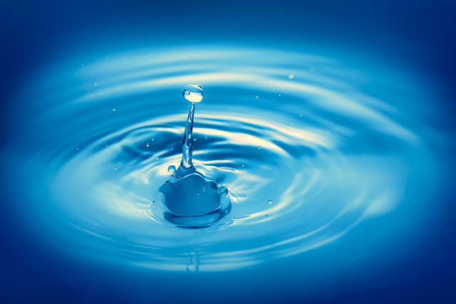 hypoallergenic carpet clean