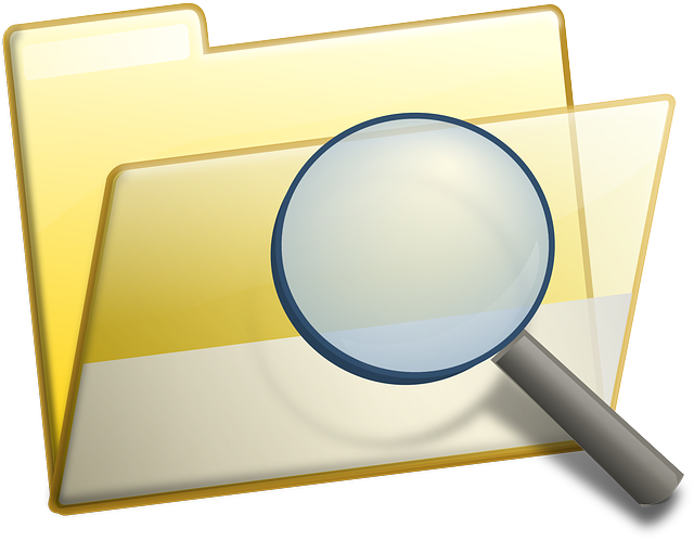 Improve Organic Search Rankings