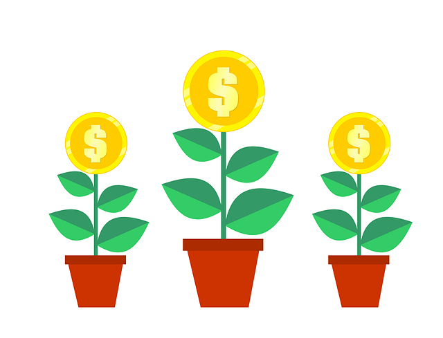 income disparity mediation
