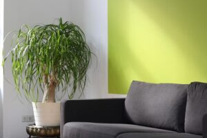 Emotional Divorce Support: Coaching for Healing and New Beginnings