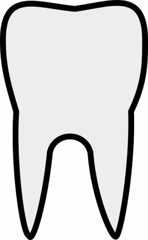 Expert Plans for Comprehensive Dental Practice Coverage