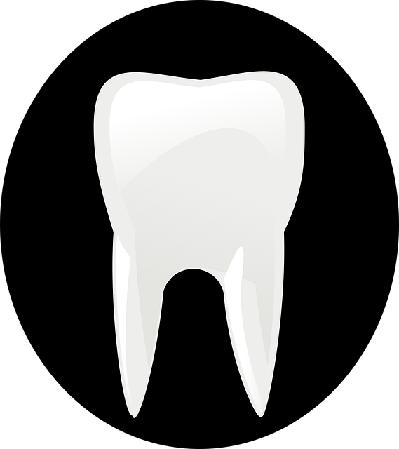 insurance for dental offices