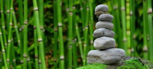 Unveiling Austin’s Holistic Wellness: Acupuncture, Detox, and Nutrition Guide