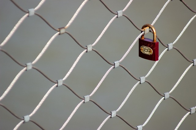 internal link audit plugin