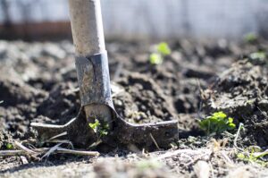 Boost Site Structure: Mastering Contextual Internal Linking with Audit Plugins