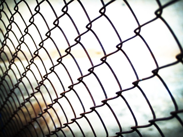 internal link structure