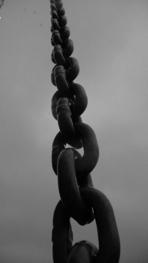 Unleash Content Power: Mastering Internal Link Suggestions Plugin Strategies