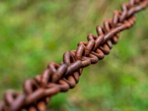 Master Internal Linking Automation with Top Plugins for Optimal SEO