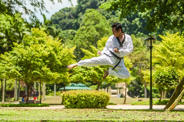 junior martial arts training Tempe