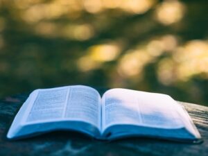 Mastering Keyword Research and Optimization for Content Success