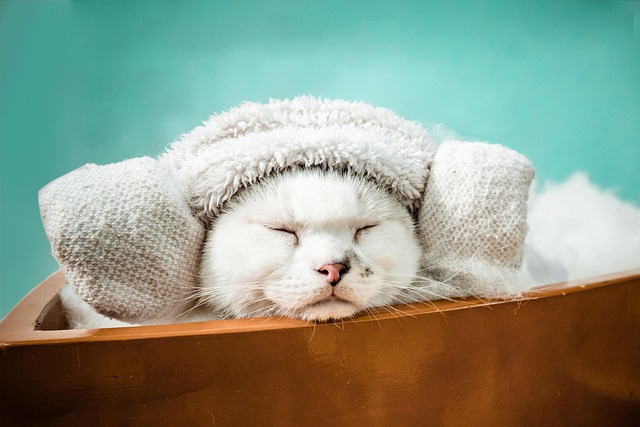 liability insurance for med spas