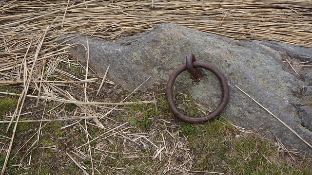 Link Building