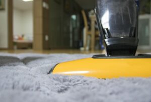Citrus Bright: Top Carpet Cleaning Pros Near You in East Valley