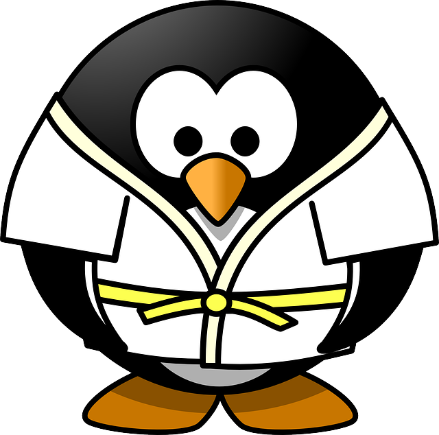 local martial arts gym