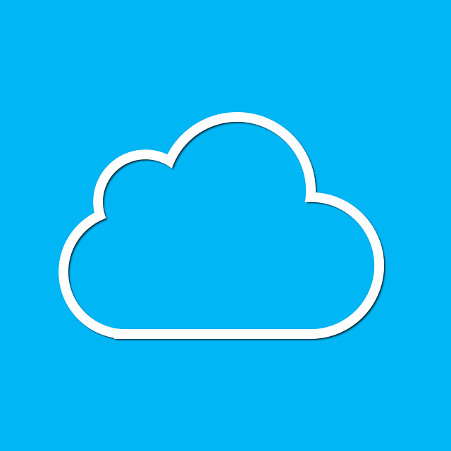 local small business web design