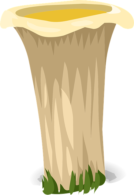 Male Fat Reduction
