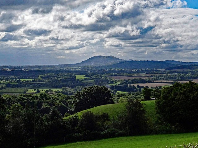 Malvern MSP