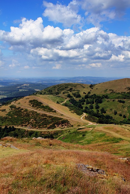 Malvern MSP