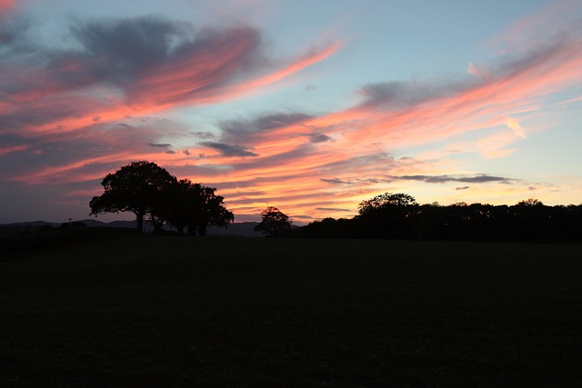 Malvern MSP