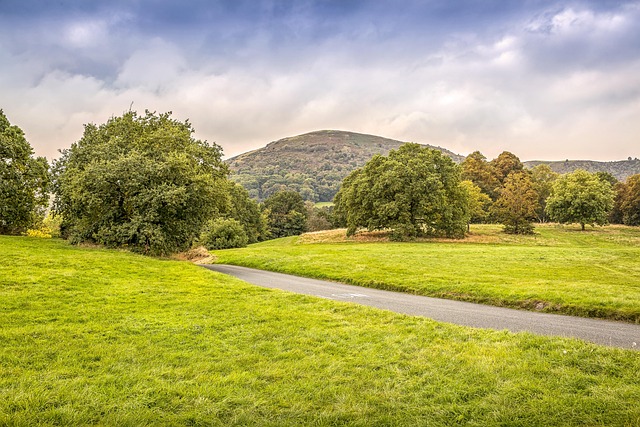 Malvern MSP