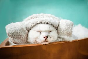 Protecting Cosmetologists: Navigating Malpractice Risks and Coverage for Med Spas