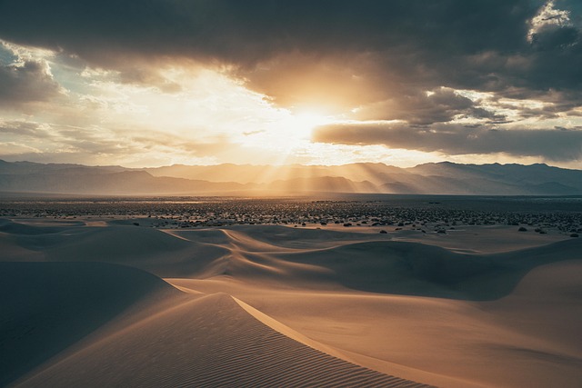 mediation services in California