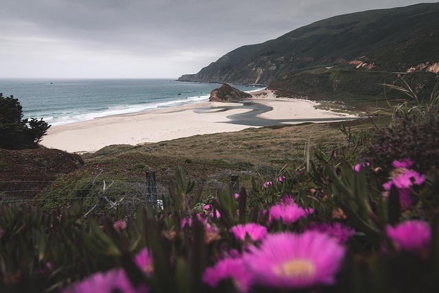 mediation services in California