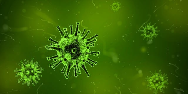 medical GMB optimization