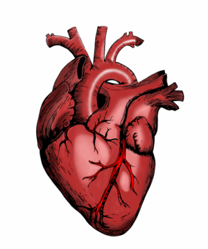 Insuring Peace of Mind: Navigating Healthcare Professional Insurance