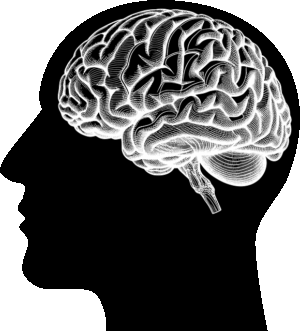 Anxiety Support in Gilbert: CBT-Based Strategies for Effective Management