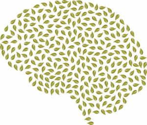 Unlocking Wellness: Finding Local Depression Therapists for Mental Health Counseling