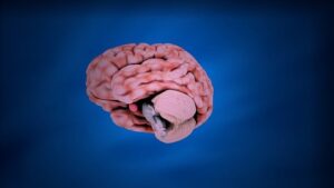 Unlocking Mental Health: Cognitive Behavioral Psychotherapy Explained