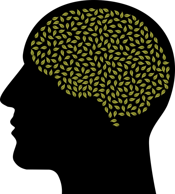 mental health wellness Scottsdale
