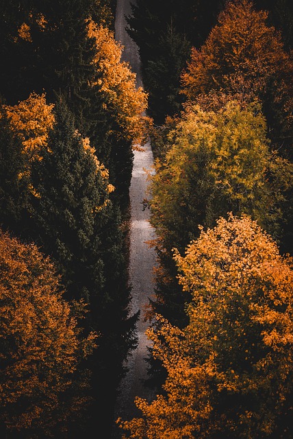 mindfulness for anxiety Mesa