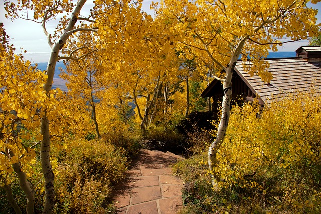 mindfulness therapy Mesa AZ