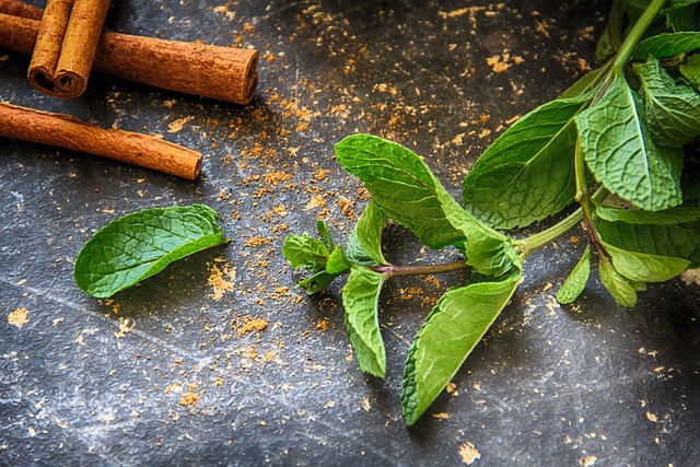 Mint Flavored CBD Tincture