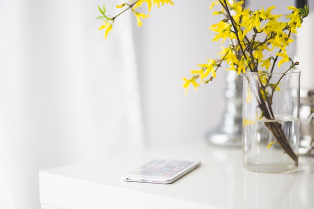 mobile carpet cleaning service